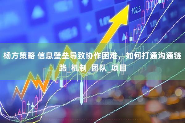 杨方策略 信息壁垒导致协作困难，如何打通沟通链路_机制_团队_项目